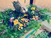 滑川神社 - 仕事と子どもの守り神の手水舎