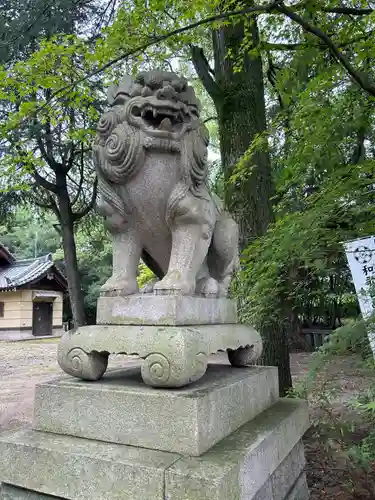 和歌山縣護國神社の狛犬