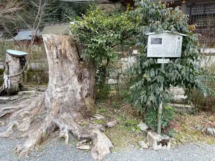 松尾大社(京都府)