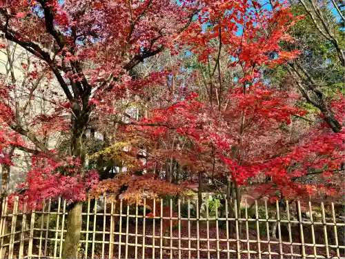 禅林寺（永観堂）(京都府)