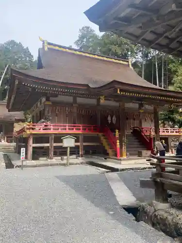 日吉大社の本殿・本堂