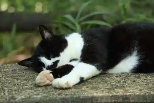 玉野御嶽神社(愛知県)