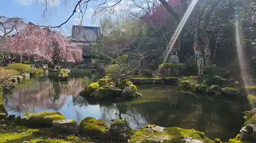 竹林院の庭園