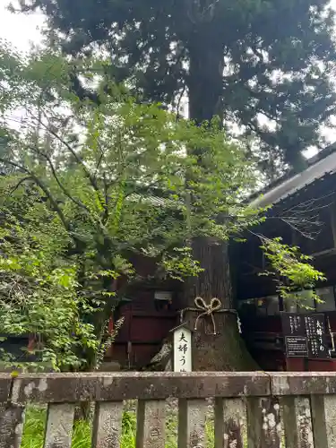 北口本宮冨士浅間神社(山梨県)