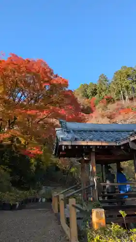 善峯寺(京都府)