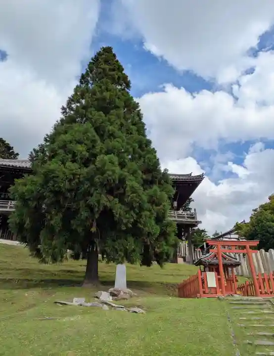 興成神社(東大寺境内社)(奈良県)