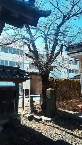 不動寺(山梨県)