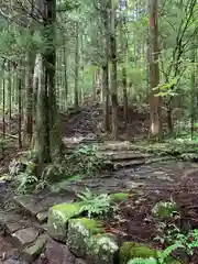 若子神社の自然