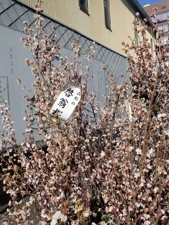 とげぬき地蔵尊 高岩寺の御朱印