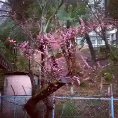 笠原寺の自然