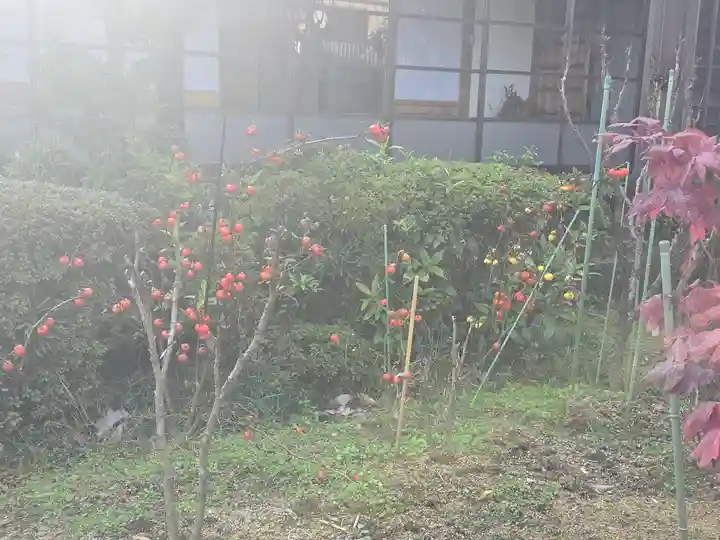 當麻寺 西南院(奈良県)