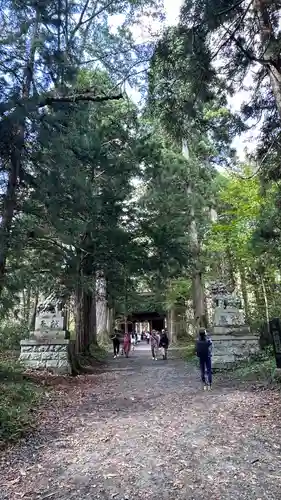 戸隠神社奥社(長野県)