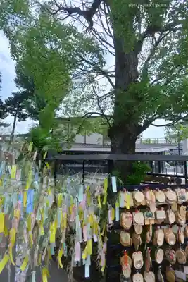 亀有香取神社(東京都)