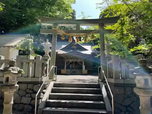 泉神社の鳥居