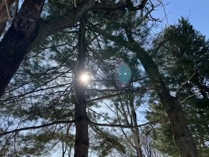 南豪神社(北海道)