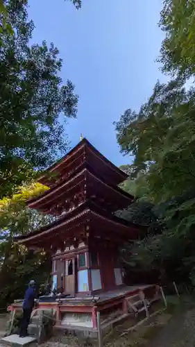 浄瑠璃寺(京都府)