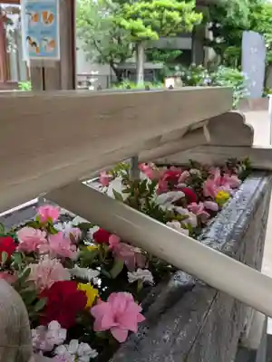 鳩森八幡神社(東京都)