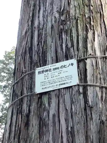 熊野社（塔野地）の自然