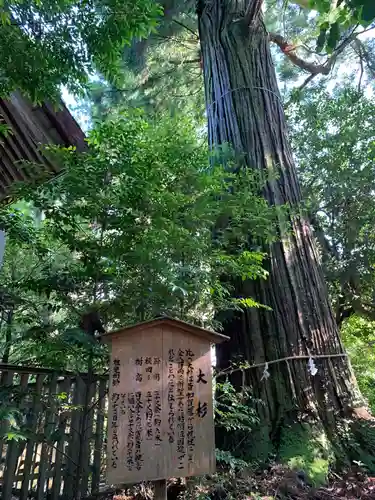 須佐神社の自然