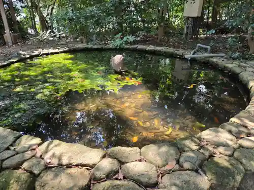 越木岩神社(兵庫県)