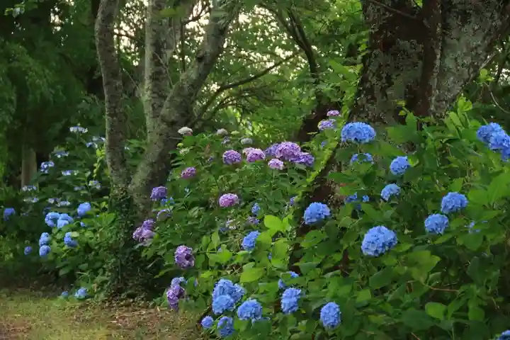 長屋神社の庭園