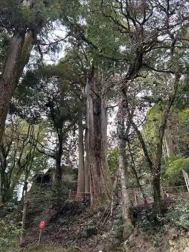 圓教寺(兵庫県)