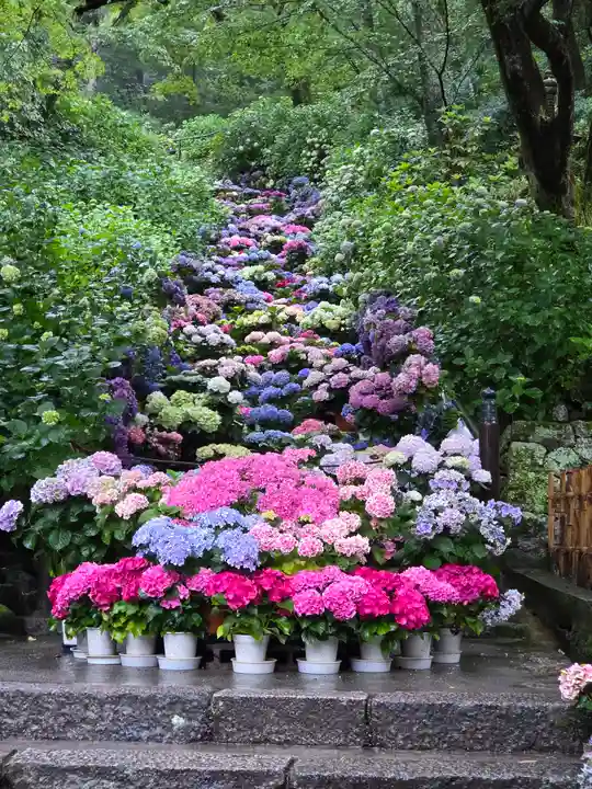 長谷寺(奈良県)