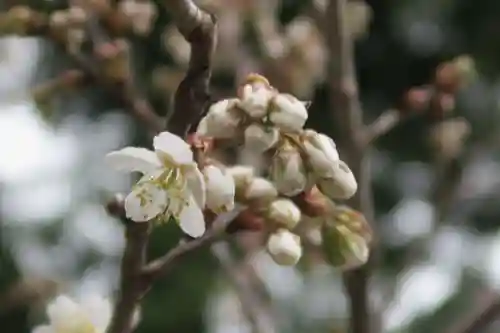 八幡宮(大阪府)