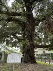 一之宮貫前神社(群馬県)