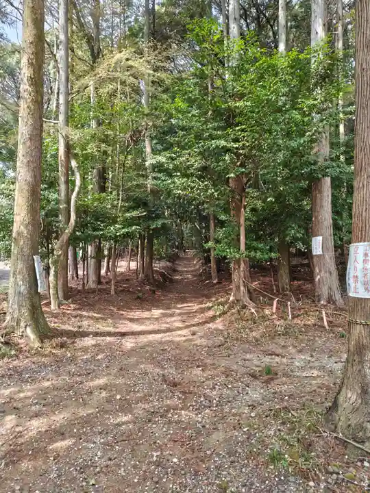 勝持寺(花の寺)(京都府)