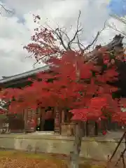 清凉寺の自然