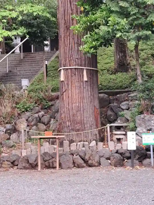 中氷川神社(埼玉県)