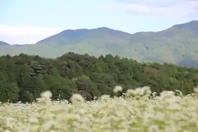 笠山坐神社の景色