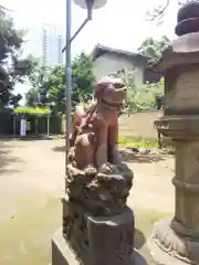 品川神社の狛犬