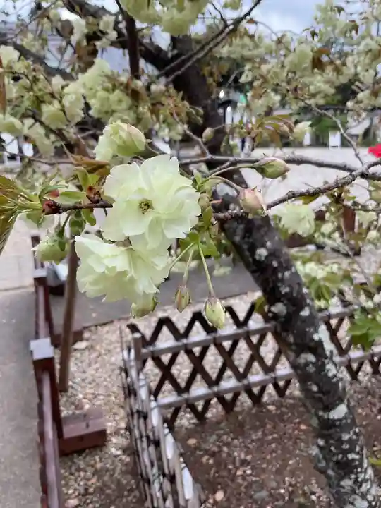 上地八幡宮(愛知県)