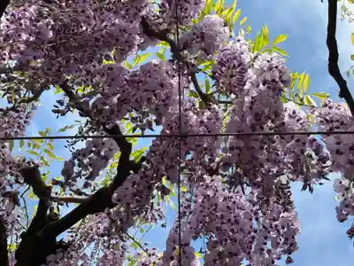 大神宮(福岡県)