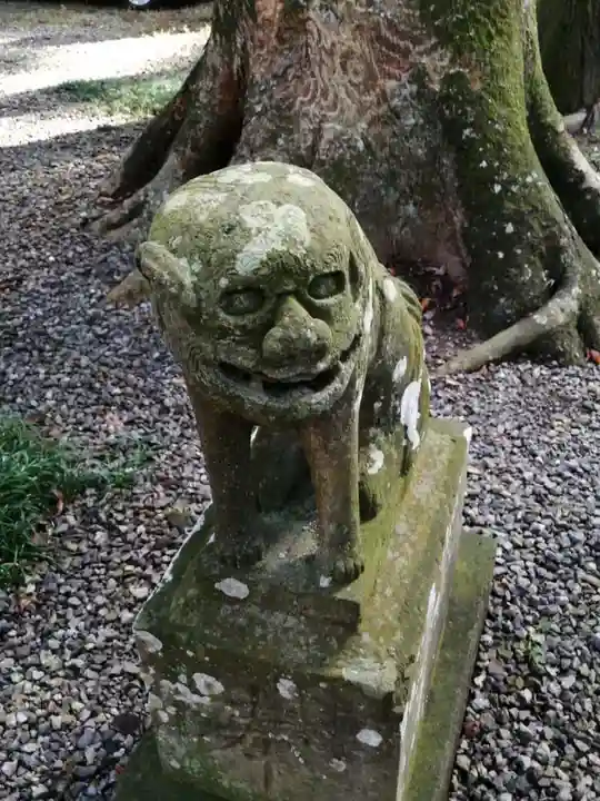 間々田八幡宮の狛犬