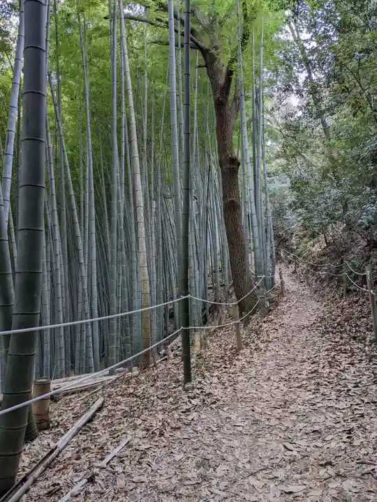 石清水八幡宮(京都府)