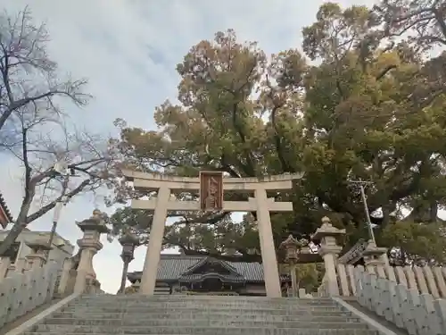 百舌鳥八幡宮(大阪府)