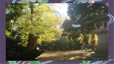 赤坂氷川神社(東京都)