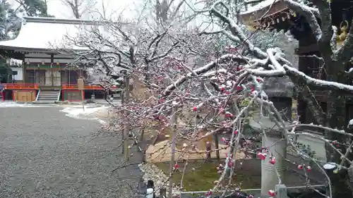 北野天満宮の庭園