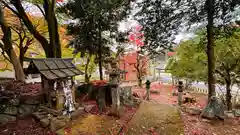 春日神社(京都府)