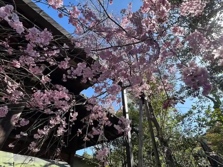 浄土院(京都府)