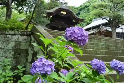 円覚寺(神奈川県)