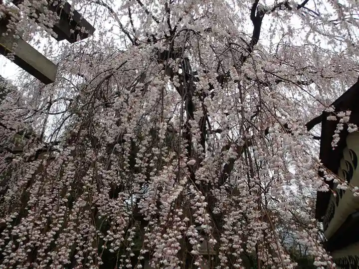 大石神社の自然