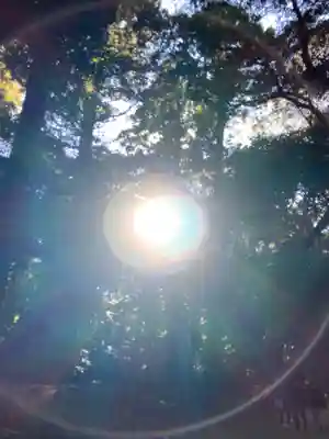 鹿島神宮(茨城県)