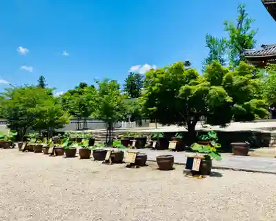 本山専修寺のその他建物