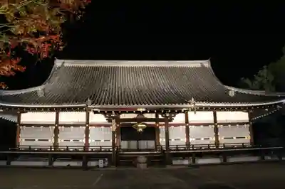 仁和寺の本殿・本堂