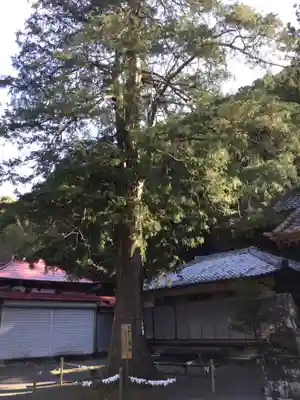 白瀧神社(群馬県)