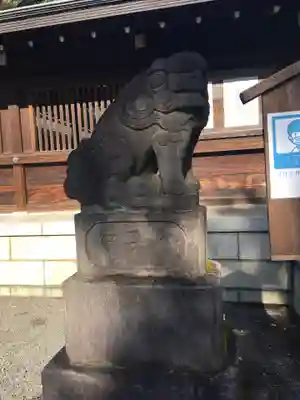 井草八幡宮の狛犬